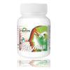 Migraine Treatment Migrokill Capsule